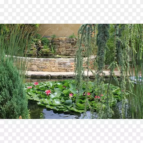 植物园后院鱼塘水质特征-水