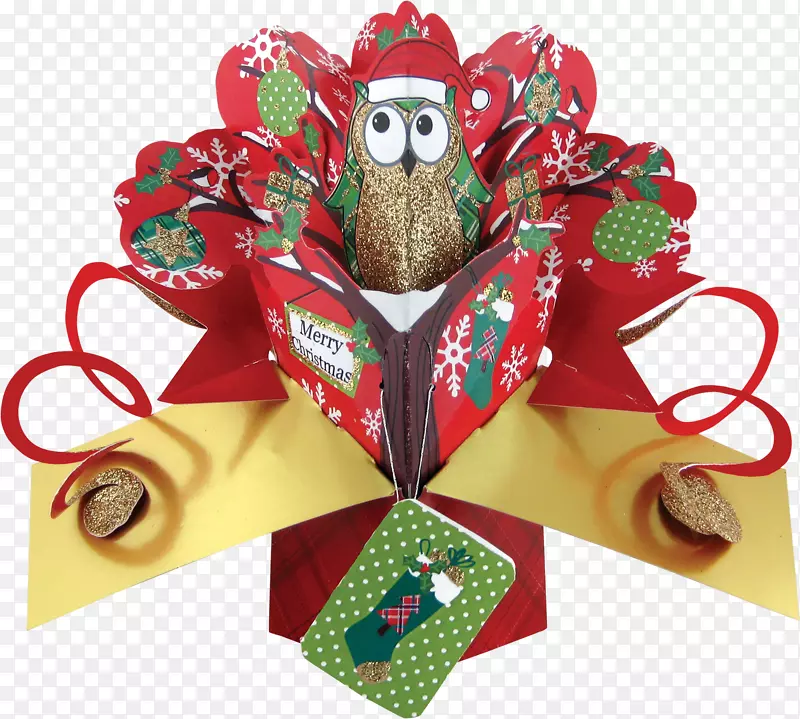 圣诞装饰品食品礼品篮猫头鹰贺卡和便笺卡-圣诞节