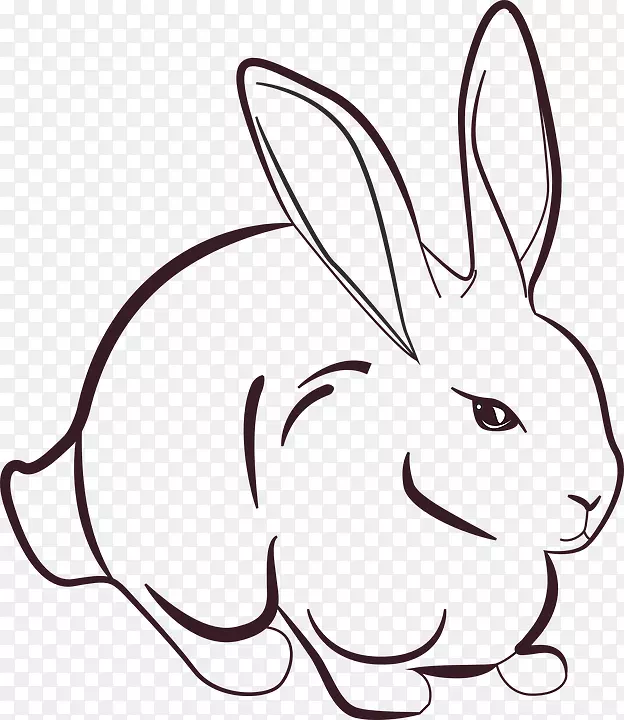 杰西卡兔子罗杰兔子画兔子