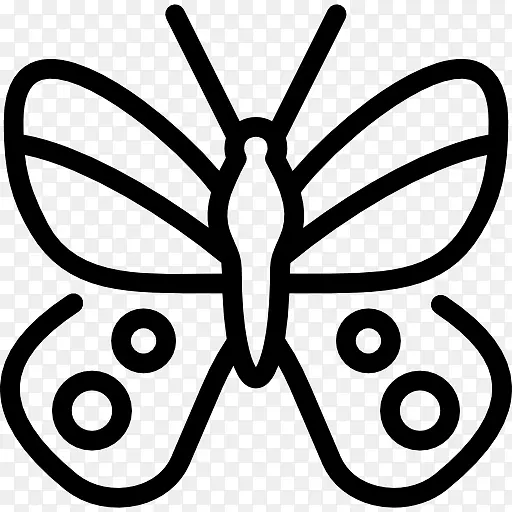 毛茸茸的蝴蝶昆虫阿波罗蝴蝶