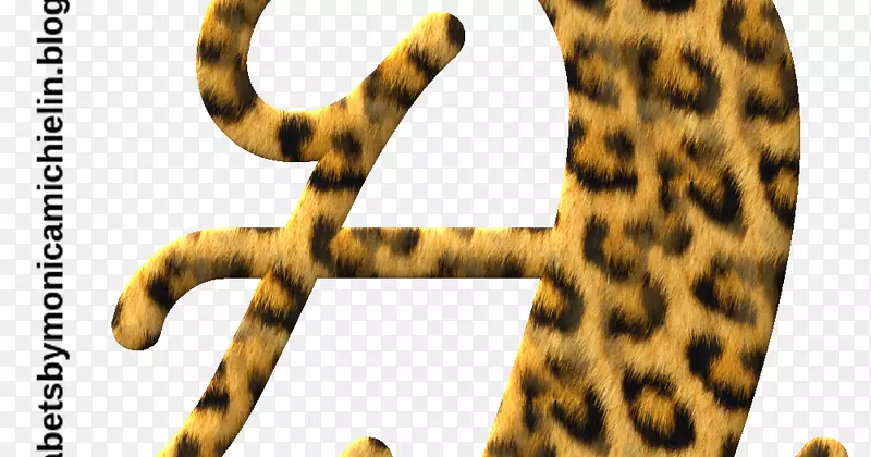 字母表字母捷豹符号字体捷豹