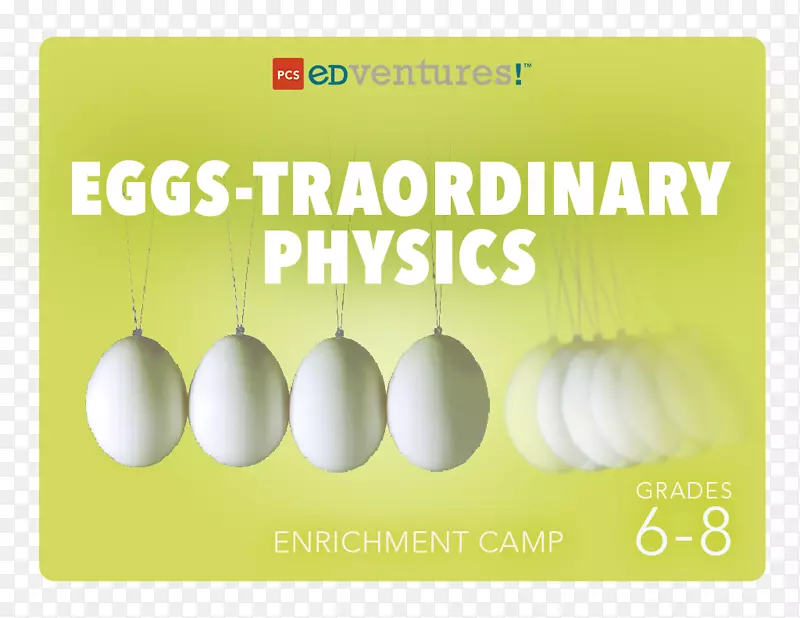 物理鸡或鸡蛋运动-鸡蛋