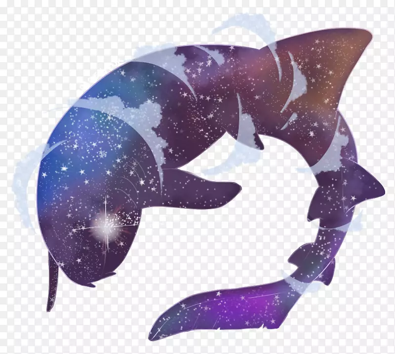 海豚海洋生物鱼类-海豚
