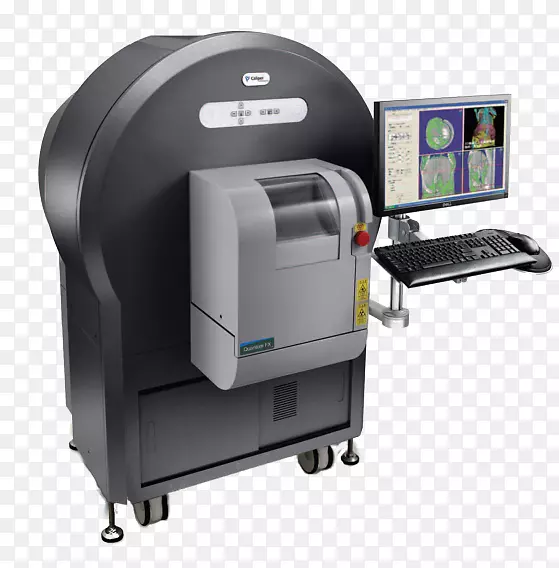 医学影像双侧位x线微断层扫描大鼠PerkinElmer大鼠