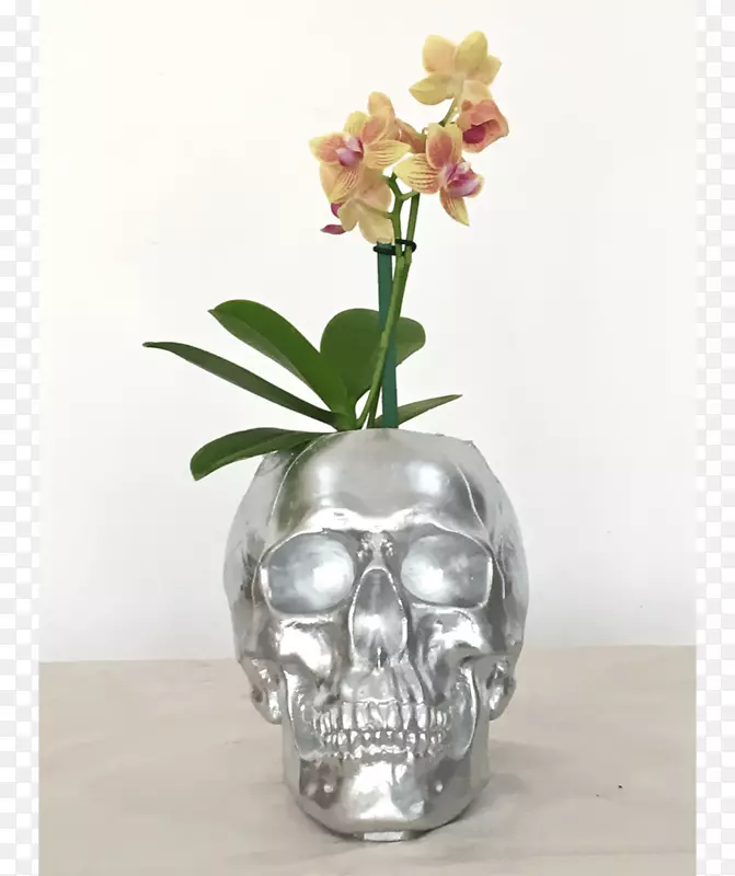 飞蛾兰花花瓶花型切花花瓶