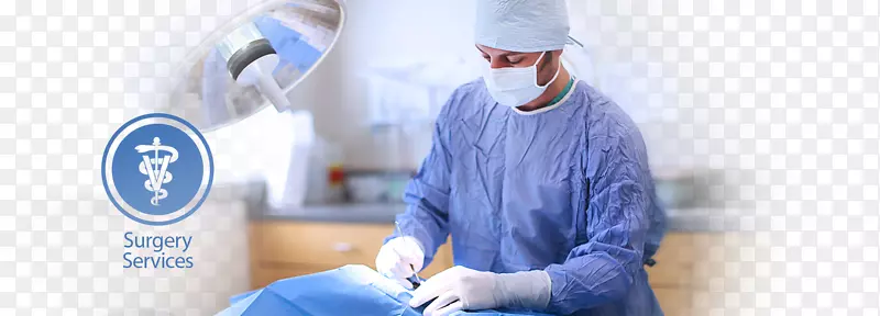 外科医生保健外科技师外科医疗助理-动物医生
