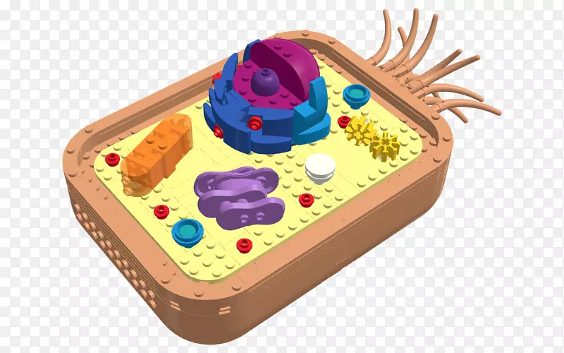 谷歌游戏-动物细胞