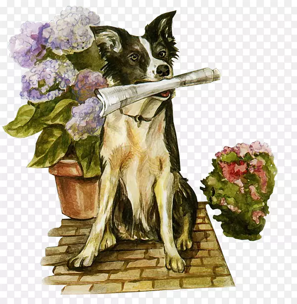 犬种剪贴画