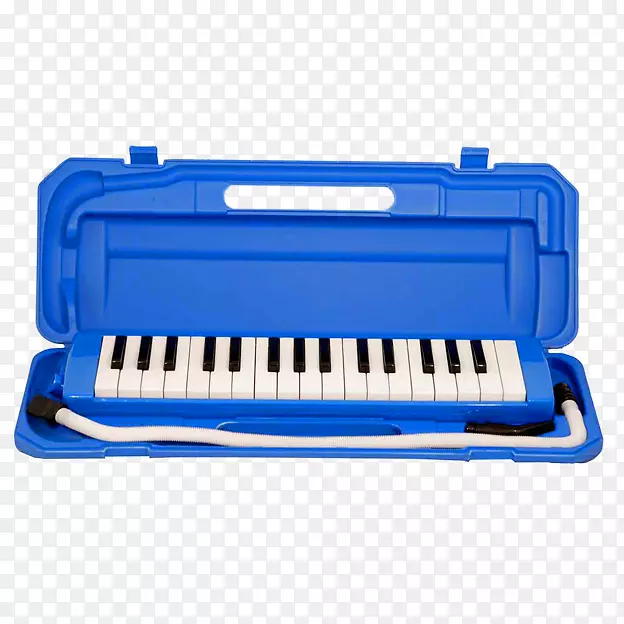 巴西乐器键盘.乐器