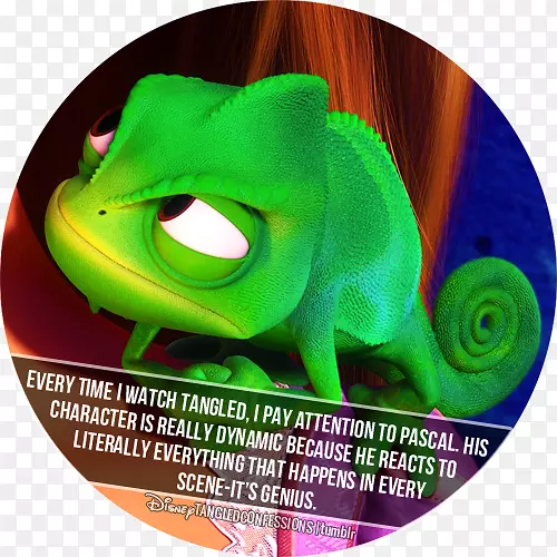 绿色有机体Pascal-Rapunzel Pascal