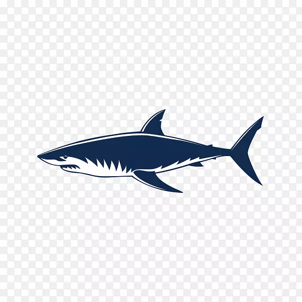 大白鲨颌骨-鲨鱼免费下载