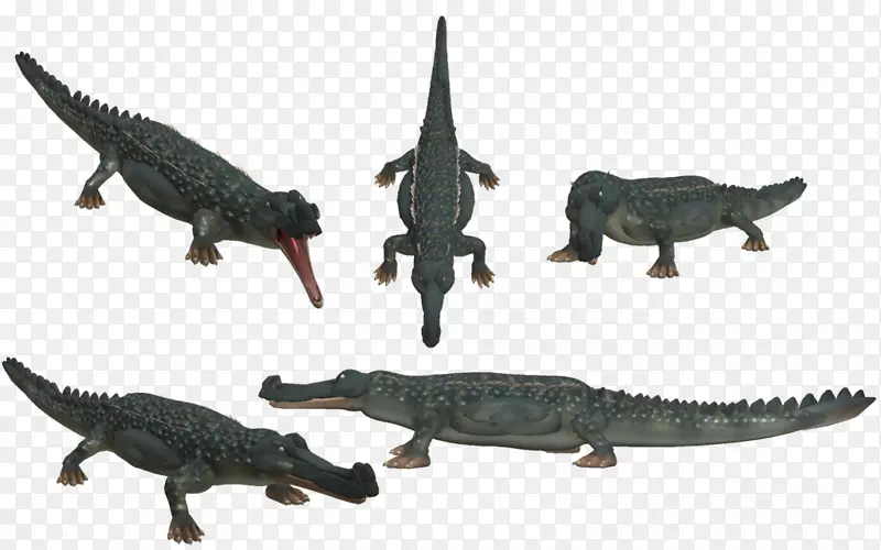 鳄鱼动物群陆生动物-鳄鱼