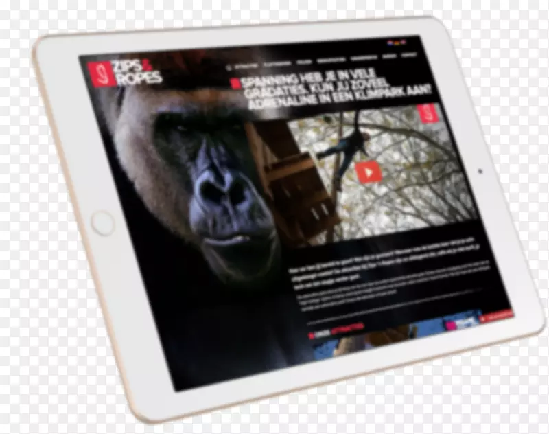 大猩猩电子产品多媒体海报-大猩猩
