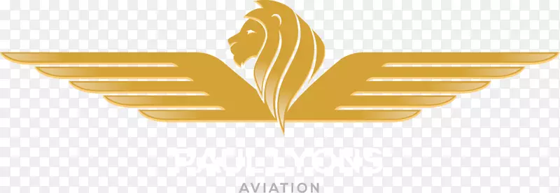 保罗里昂航空标志包机品牌飞机-航空日