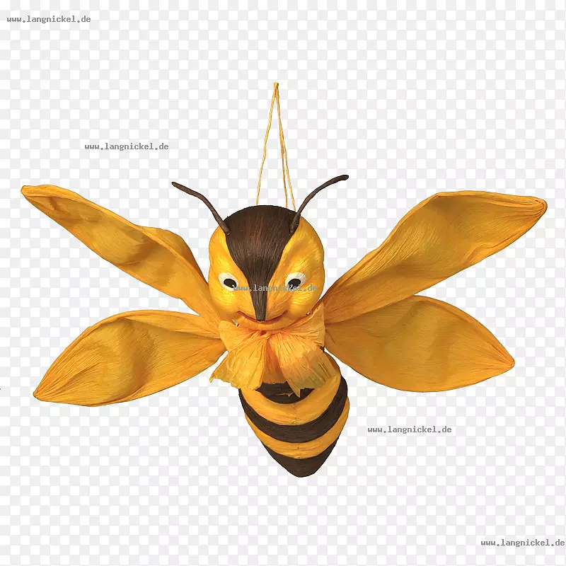 蜜蜂蛾虫