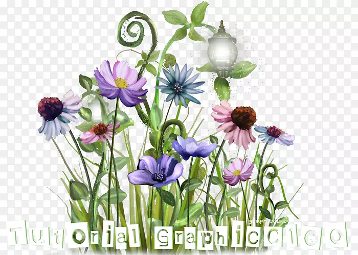 花卉设计摄影植物茎网上论坛-花
