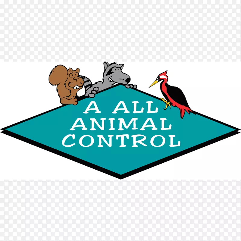 坦帕湾的全动物管制野生动物管理及福利服务-松鼠
