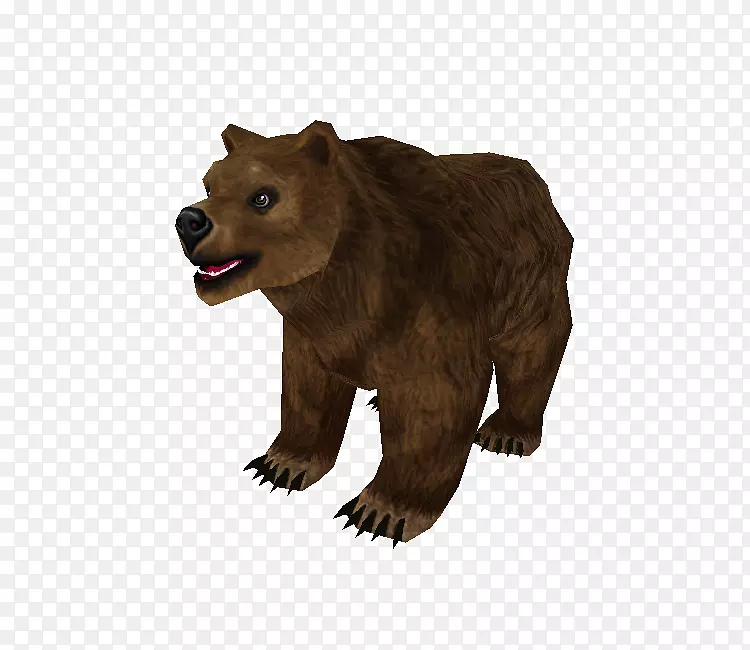 灰熊阿拉斯加半岛棕熊动物毛皮熊