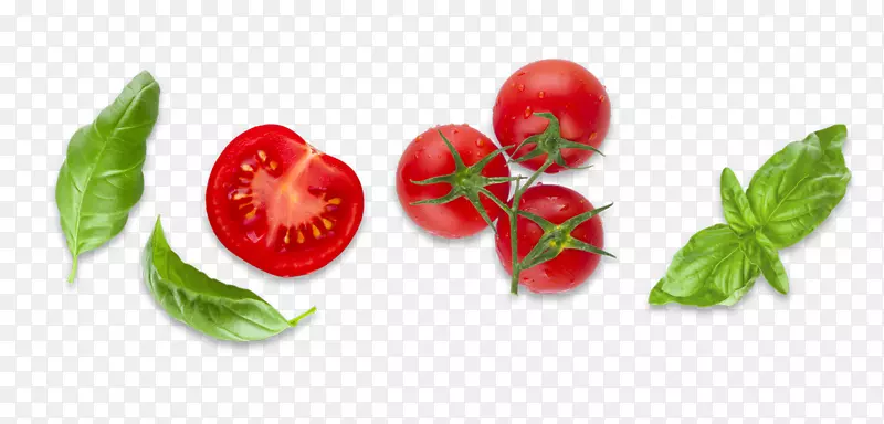 灌木丛番茄减肥食品罗勒番茄