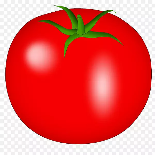 李子番茄灌木番茄光景-番茄