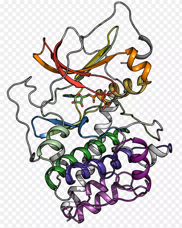 蛋白激酶磷酸化三磷酸腺苷苏氨酸-PUA