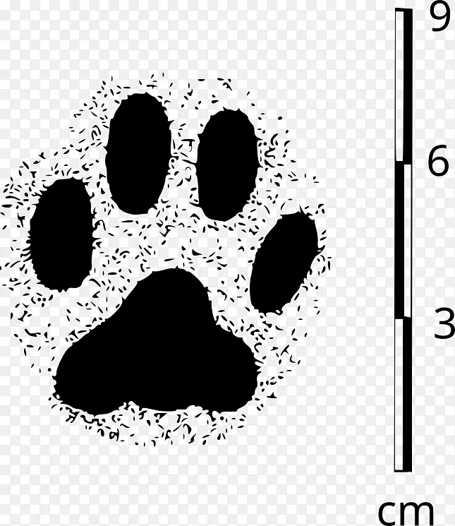 猫吉娃娃爪子宠物狗梳理-猫