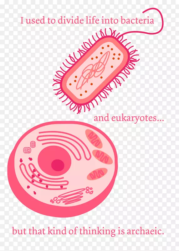 双关科学细菌微生物科学