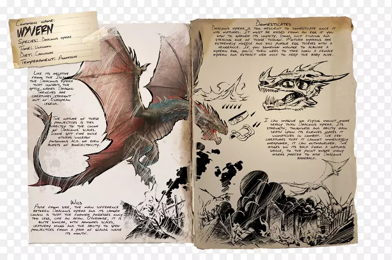 方舟：生存进化的维文驯服动物传说中的龙-龙