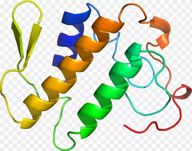 磷脂酶a2食用植物茎序列剪贴术磷脂酶a2