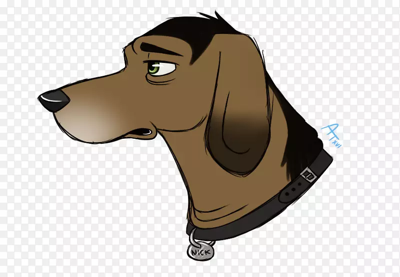 犬种：小猎犬