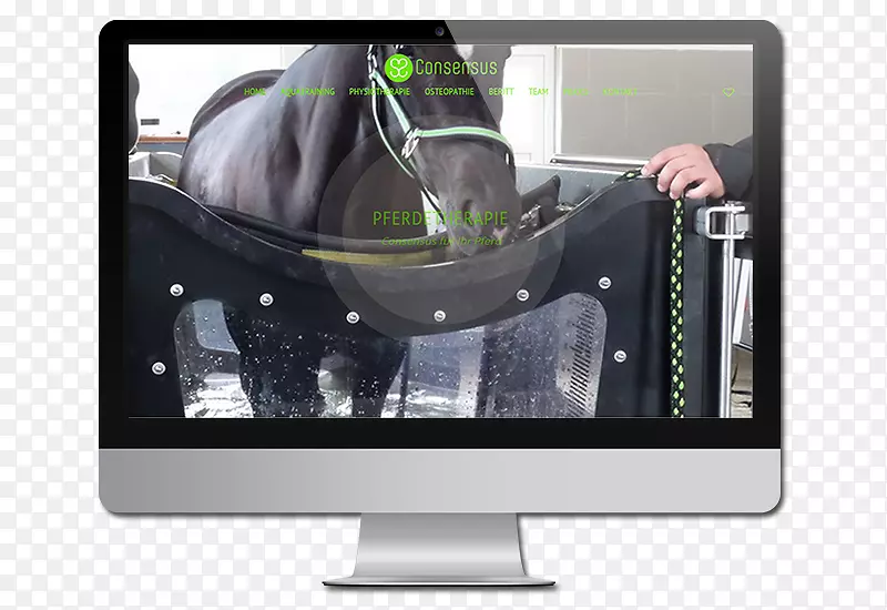 台式电脑史塔克瑞恩电脑显示器响应网页设计膝上型电脑