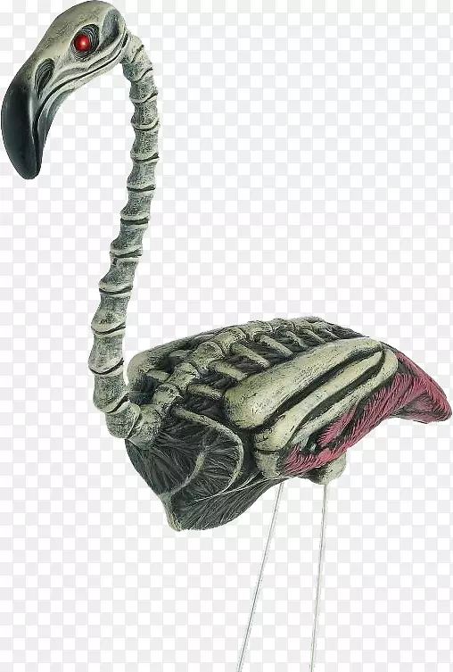 颈水鸟