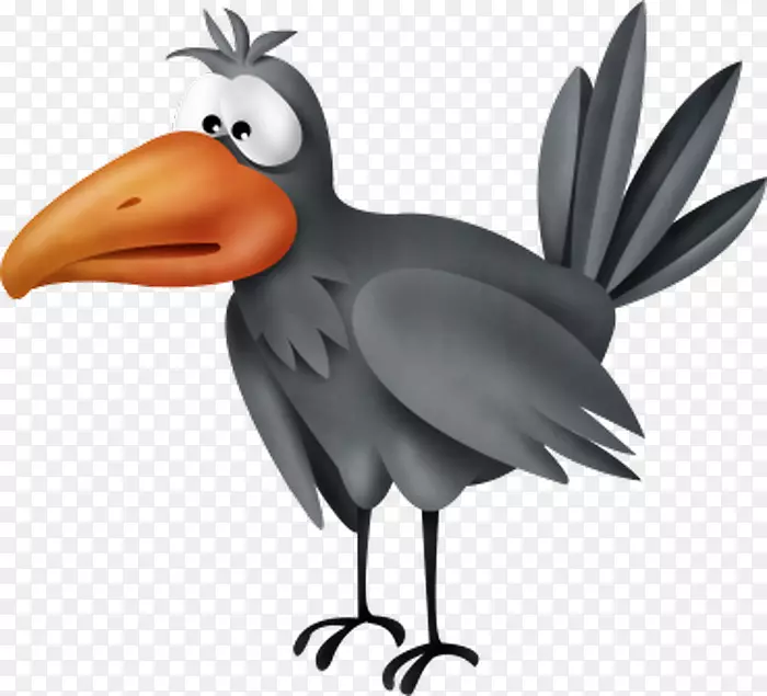 罗克美洲乌鸦公鸡新加里东乌鸦雀鸟