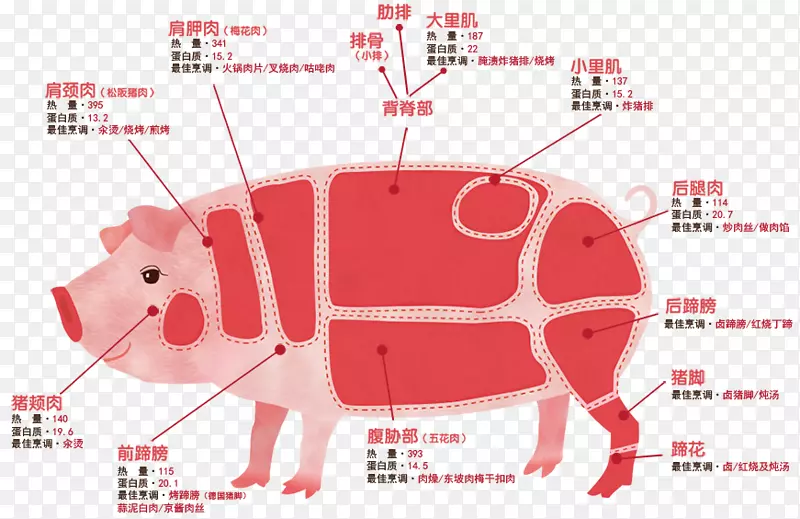 猪肉猪肉食品-猪