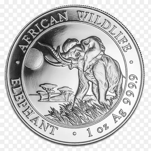 非洲象银币金币银币