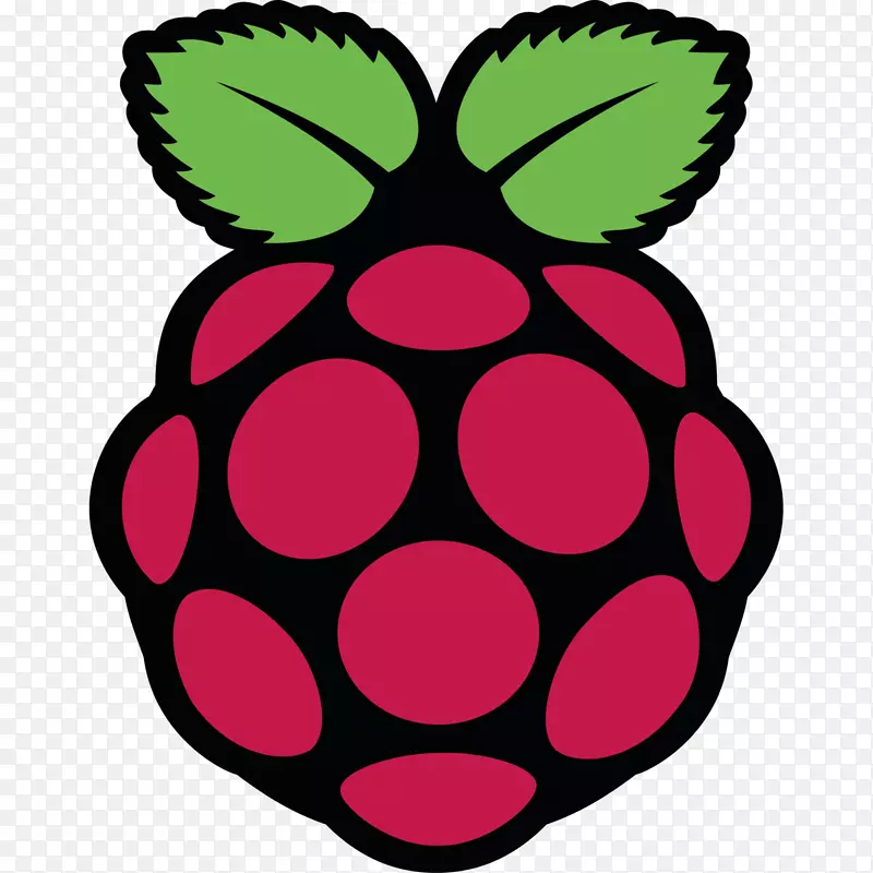 raspberry pi基金会计算机usb linux-计算机