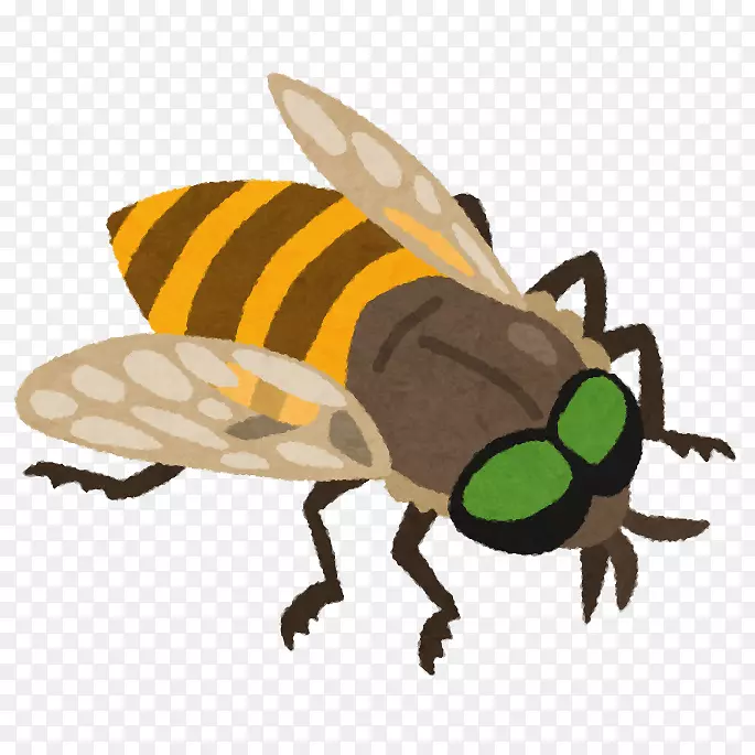 蜜蜂アブFly虫-蜜蜂