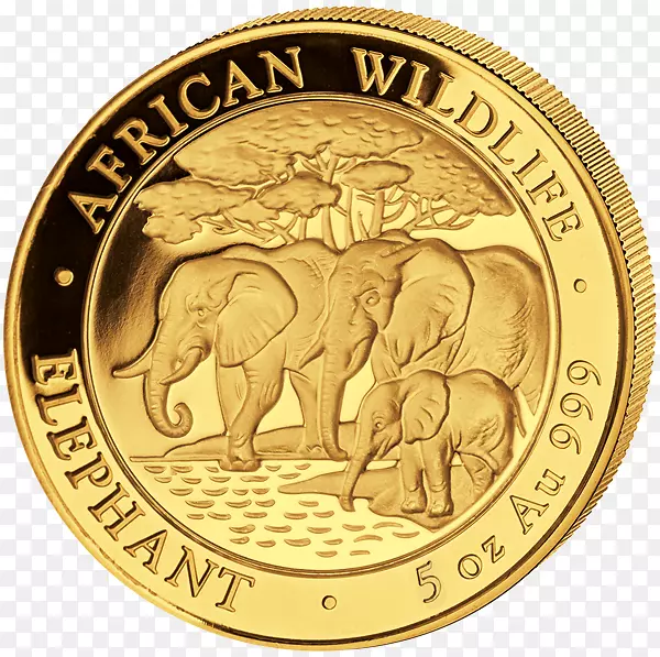 非洲象金币