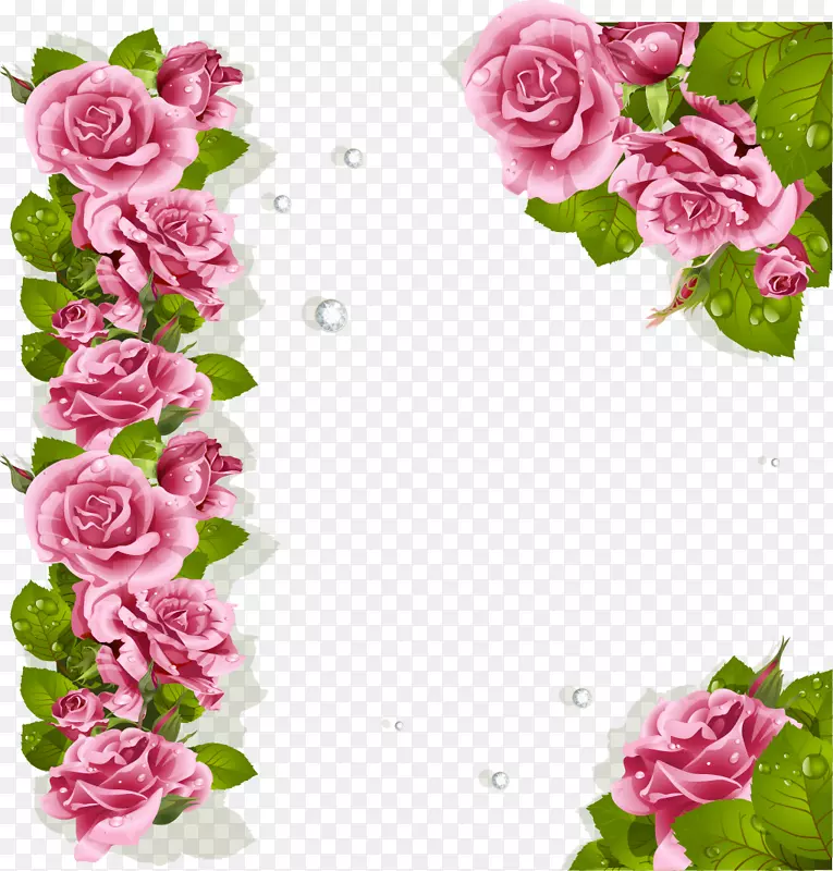 花园玫瑰，花卉设计，卷心菜，玫瑰花，切花