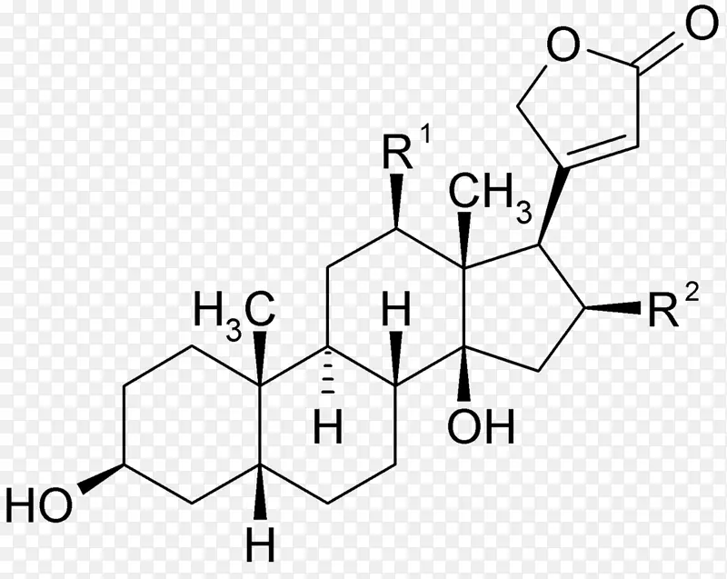 伟大的睾酮神话雌二醇雌激素结构配方-糖手套