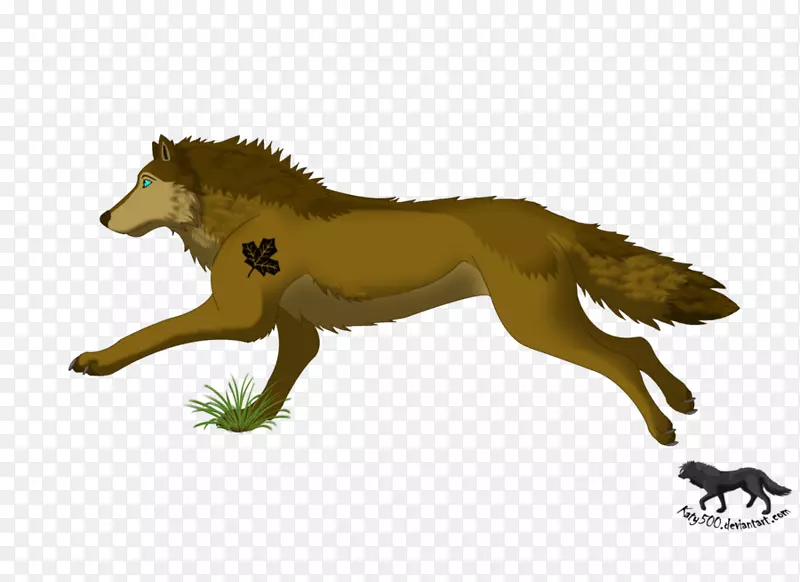 灰狼犬科图-动物奔跑