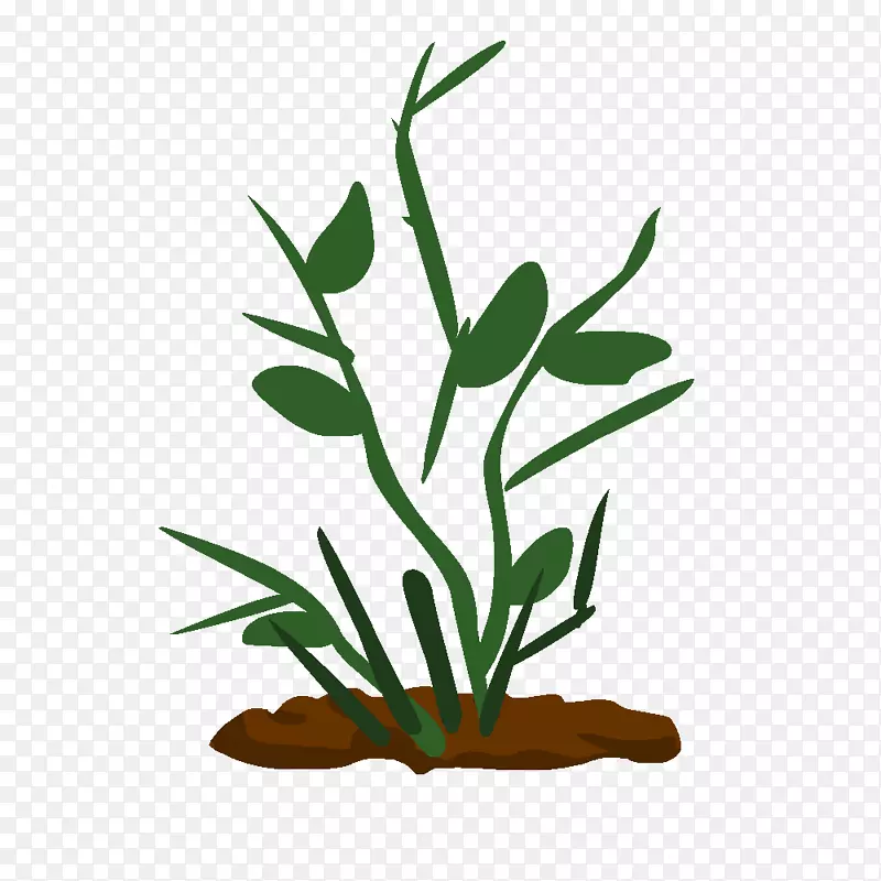 绘制技术植物茎夹艺术植物