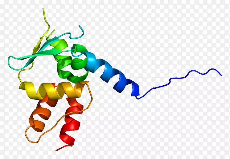 巨大轴突神经病(Gigaxin)蛋白质染色体16基因