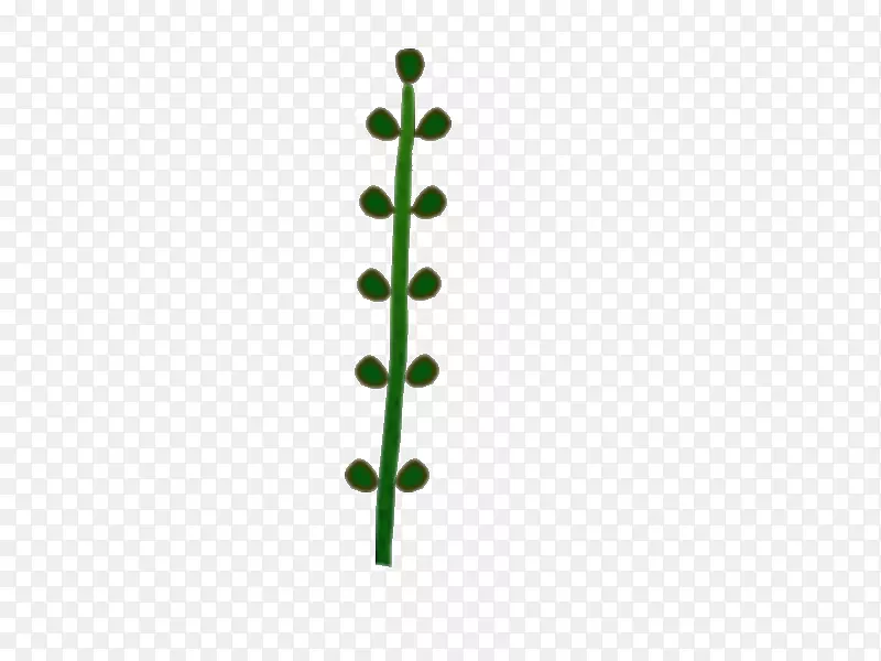 叶线绿角植物茎叶
