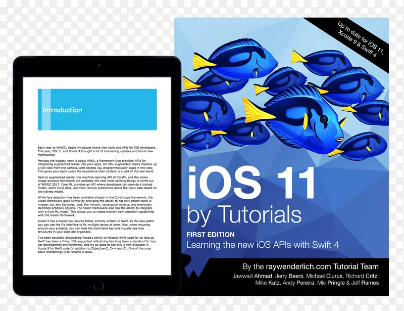 快速教程IOS 11软件设计-快速iOS