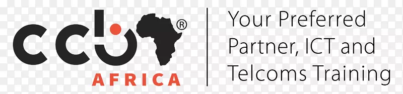 UMTS CCNA计算机网络骨干网络思科认证-非洲双徽标