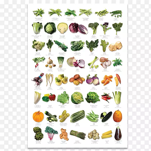 英国奥格里斯水果蔬菜-蔬菜