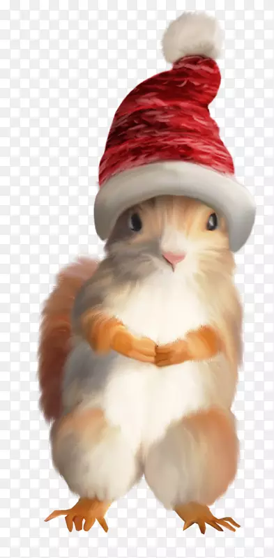 松鼠圣诞老人圣诞树装饰-松鼠