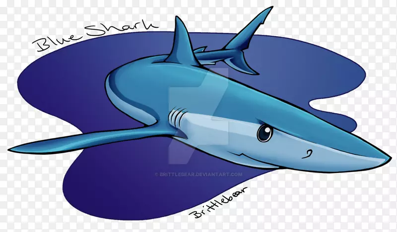 鲨鱼钴蓝海洋生物海豚蓝熊