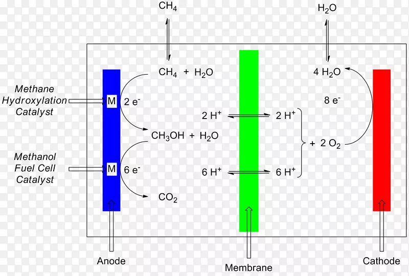 微生物燃料电池质子交换膜燃料电池碱性燃料电池